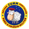 cropped-LOGO-ZUMM-1.png